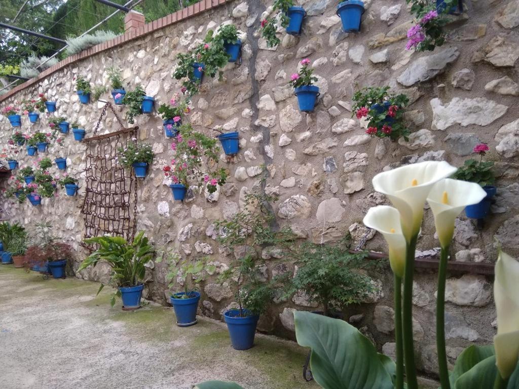 Cortijo De Las Flores Cazorla La Iruela Exterior foto